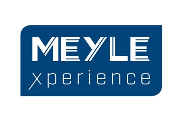 Цифровой, инновационный, индивидуальный формат MEYLExperience от компании MEYLE привлек внимание 700 участников со всего мира