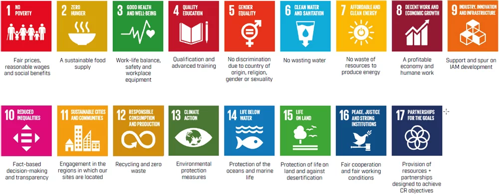 Sustainable development goals