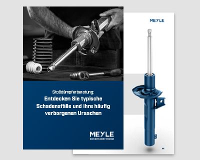 Beratung zu Stoßdämpfern mit Werkzeug und MEYLE-Komponent, Schadensfälle und Ursachen.