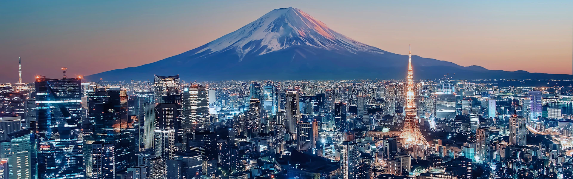 Picture of the skyline of Tokyo.