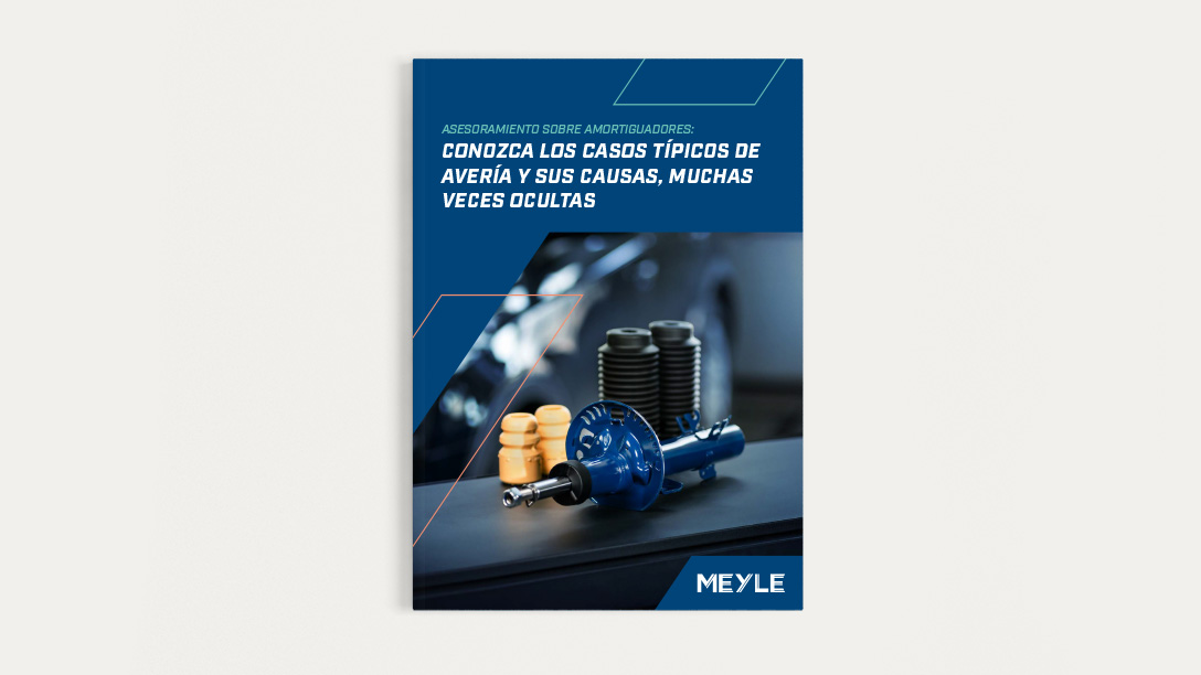 Image from the title of the MEYLE white paper of the shock absorber.