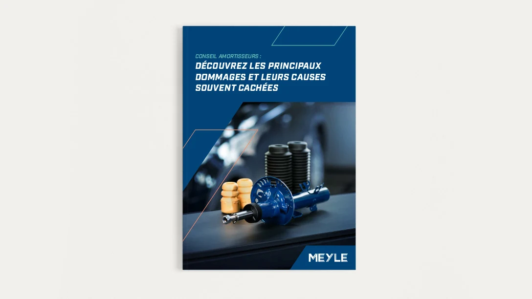 Image from the title of the MEYLE white paper of the shock absorber.