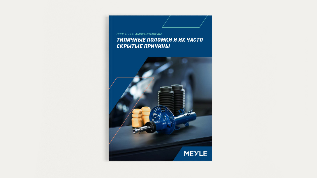 Image from the title of the MEYLE white paper of the shock absorber.