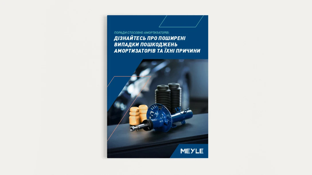 Image from the title of the MEYLE white paper of the shock absorber.