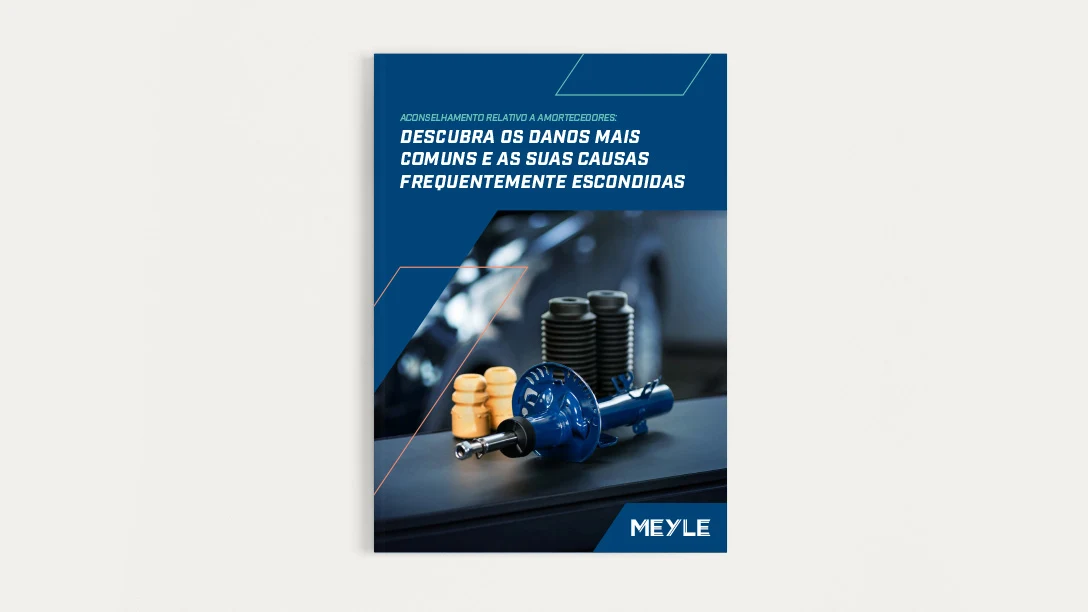 Image from the title of the MEYLE white paper of the shock absorber.