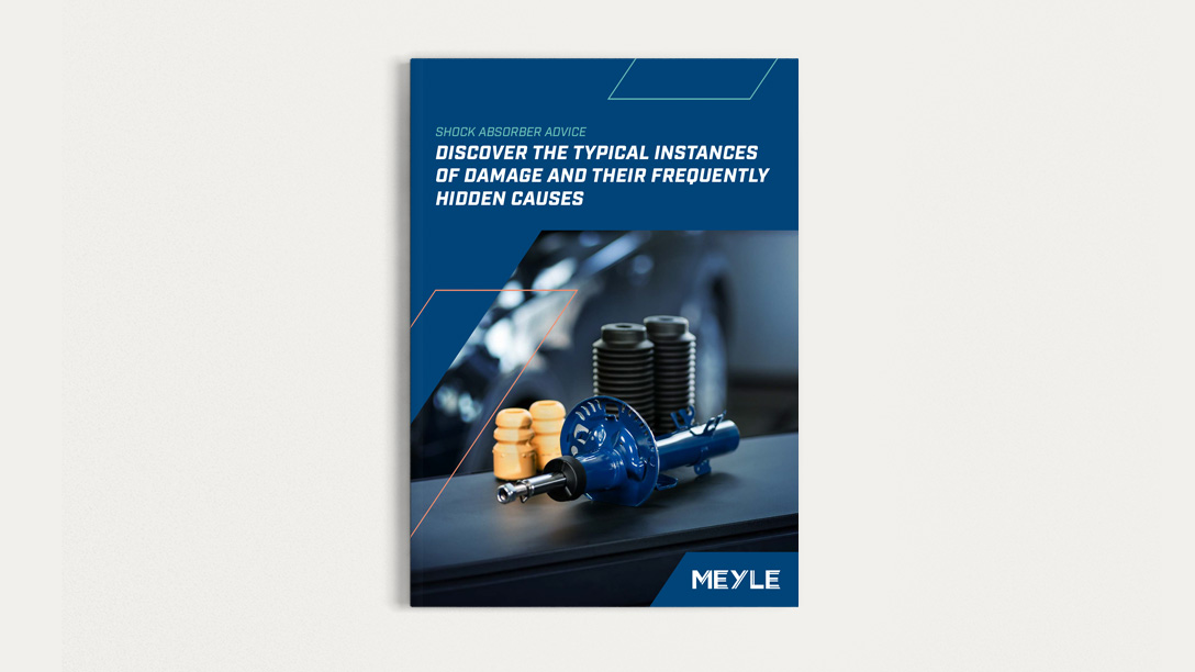 Image from the title of the MEYLE white paper of the shock absorber.