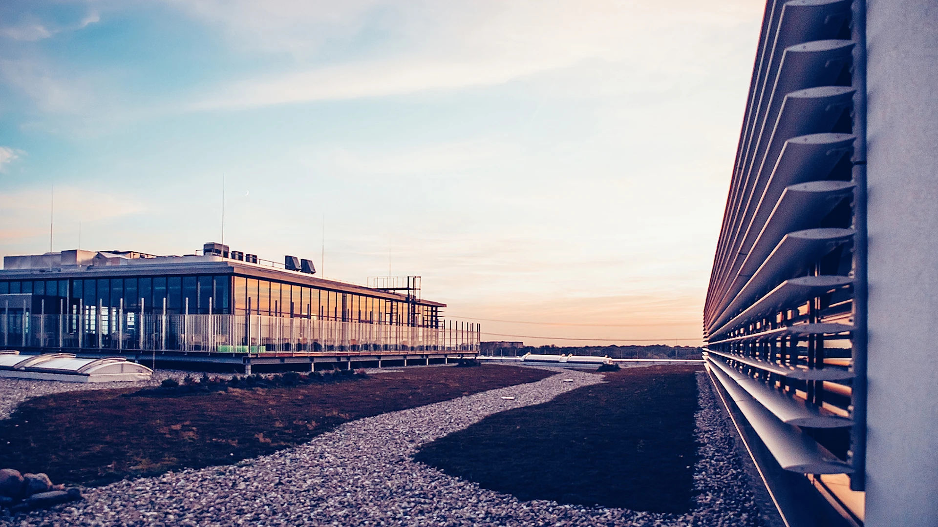 Roof of the MEYLE headquarters with greenery at dusk.