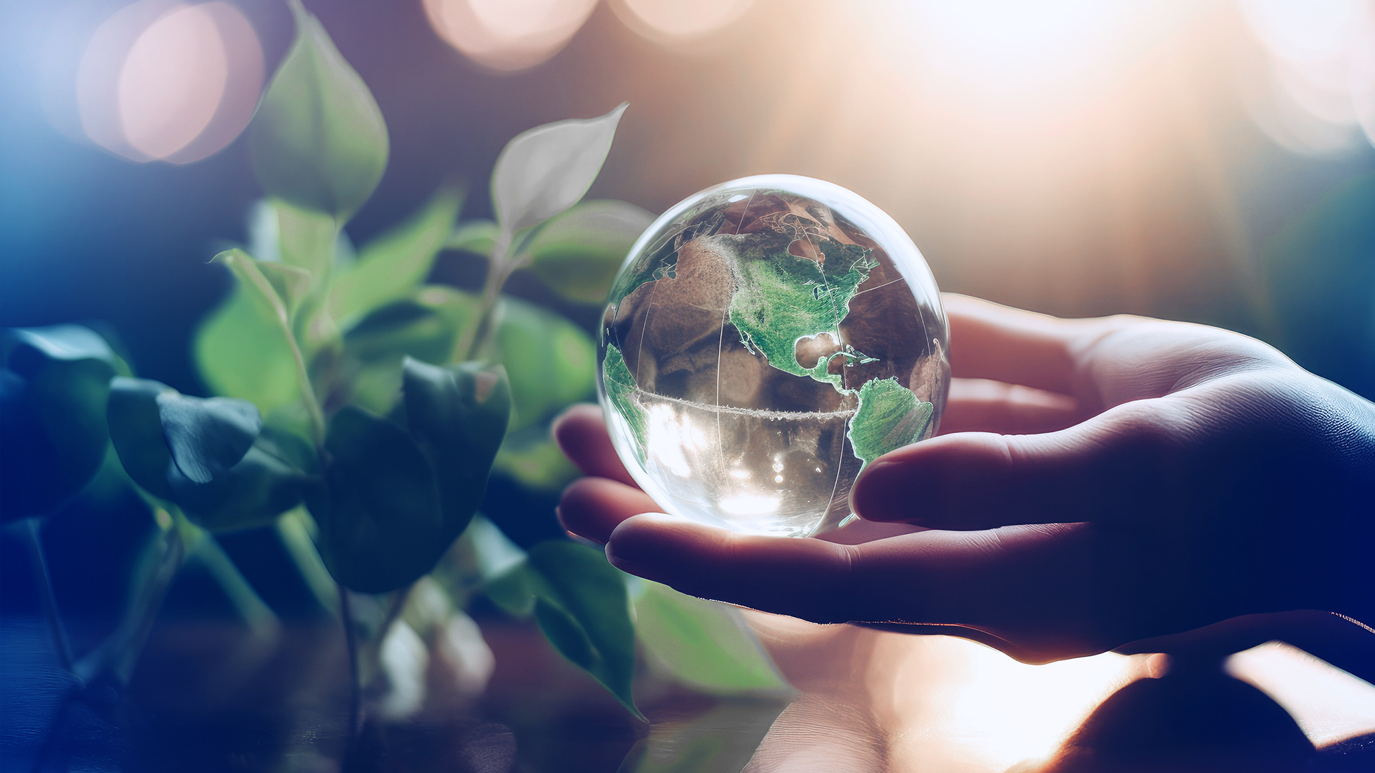 Hand holding a glass globe with continents drawn in green.